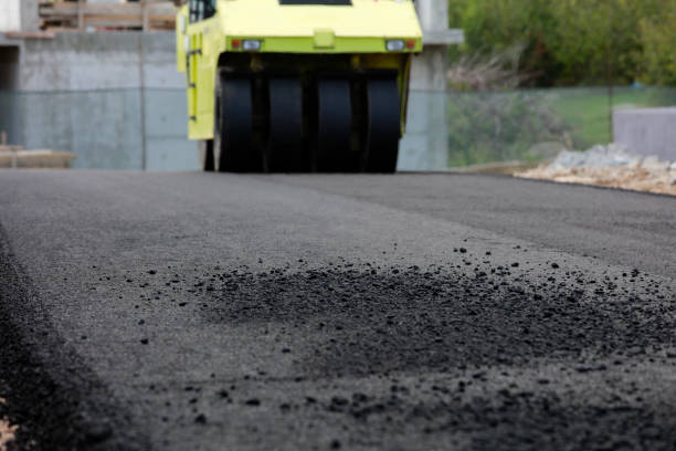 Best Paver Driveway Replacement  in Newport, SC